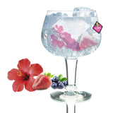 Carmencita GinFusion Floral - Gin and Tonic