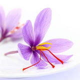 Carmencita Saffron Flower