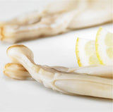 La Narval Razor Clams in Brine