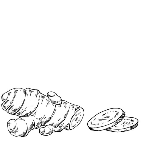 Il Ritorno Delle Alghe In Cucina - Foto 7