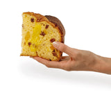 Loison Top Frutta e Fiori Panettone Lemon