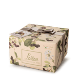 Loison Top Frutta e Fiori Panettone Cherry 1 kg - Amarena 01