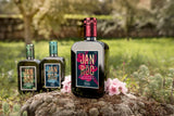 Pons Janiroc Lecciana Organic EVOO 03