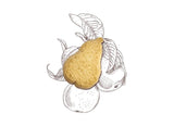 Loison Pear Biscuits 02