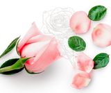 Loison Rosa