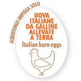 Albertengo Gallina allevate a Terra